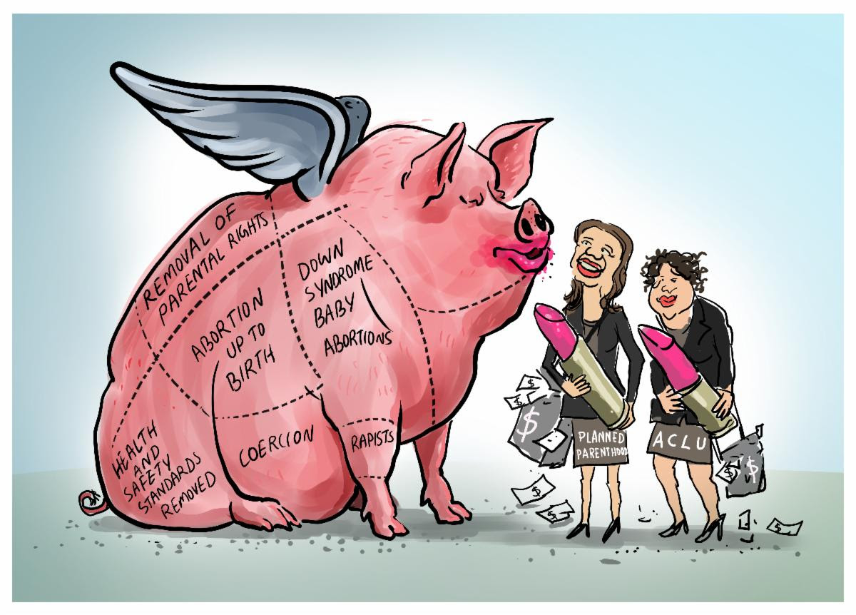 Lipstick on a Pig Cincinnati Right to Life