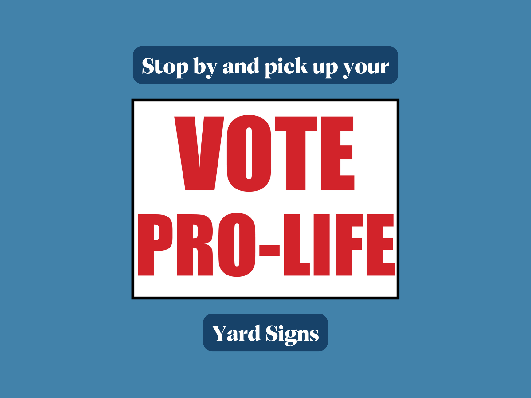 Vote Pro Life Home Page Box